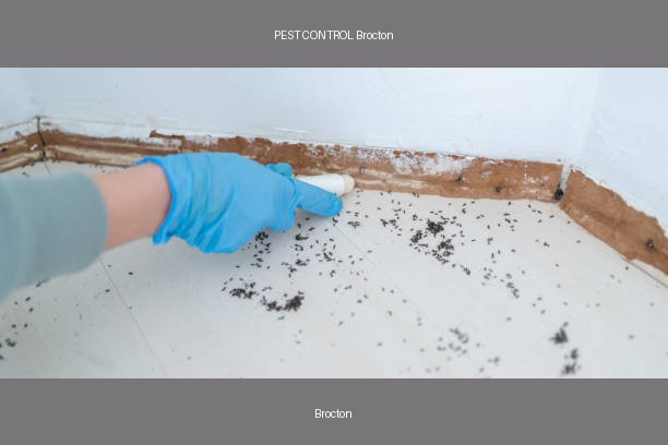 PEST CONTROL Brocton